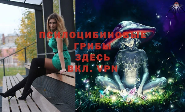 гашиш Абаза