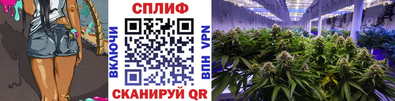 Марихуана индика  даркнет сайт  Донской 
